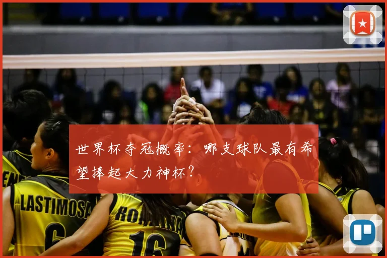 世界杯夺冠概率：哪支球队最有希望捧起大力神杯？