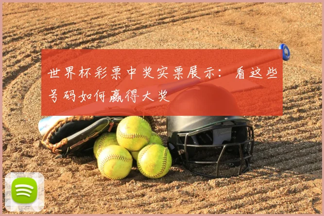 世界杯彩票中奖实票展示：看这些号码如何赢得大奖