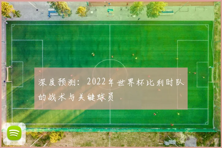 深度预测：2022年世界杯比利时队的战术与关键球员