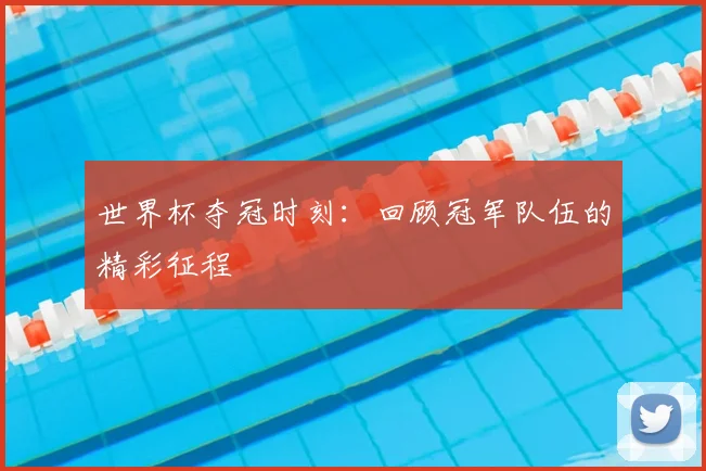 世界杯夺冠时刻：回顾冠军队伍的精彩征程