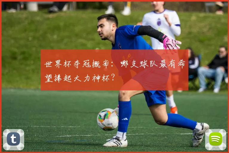 世界杯夺冠概率：哪支球队最有希望捧起大力神杯？