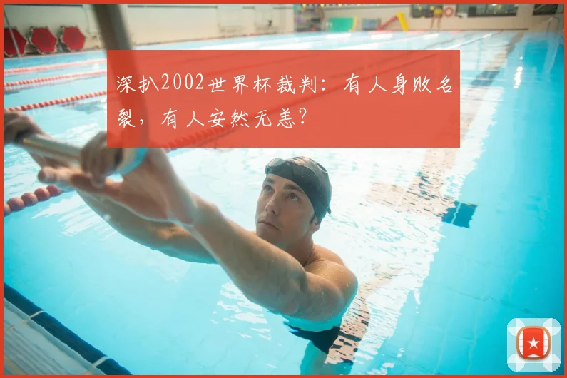 深扒2002世界杯裁判：有人身败名裂，有人安然无恙？